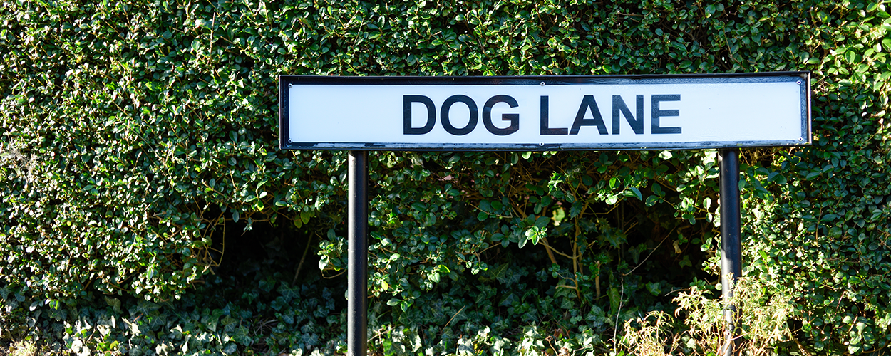 The controversial impact of naming streets