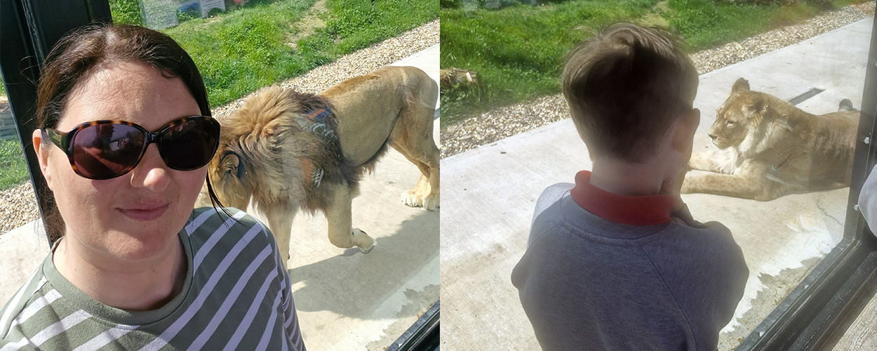 Beyond the Office: A Wild Day Volunteering as a Parent Leader at Belfast Zoo