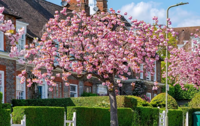 EHC Hub adopts new Idox address search technology to deliver innovative, in-house alternative for its address lookups.