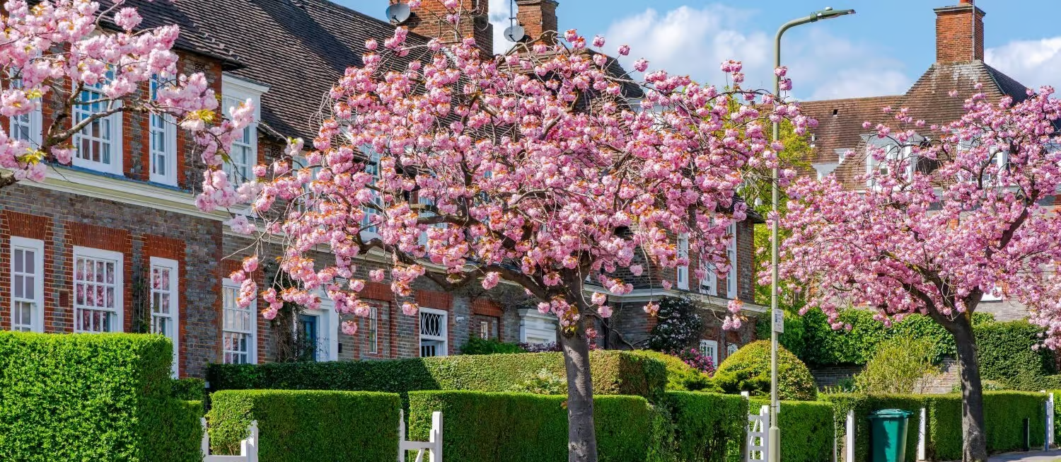 EHC Hub adopts new Idox address search technology to deliver innovative, in-house alternative for its address lookups.