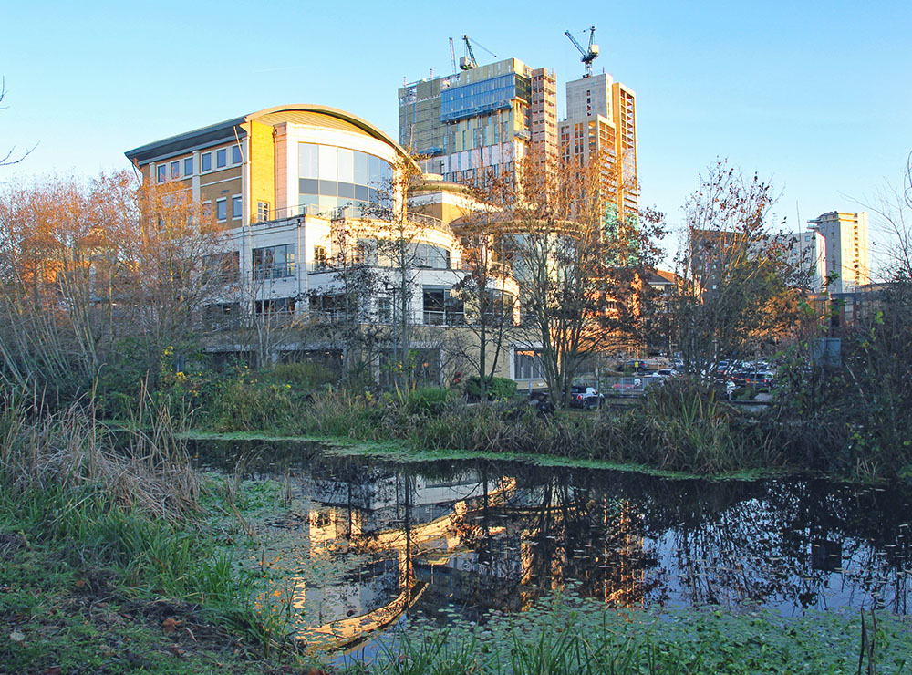 Idox Software Woking