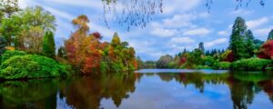 Wealden District Council selects Idox Cloud to streamline Planning, Building Control and Land Charges